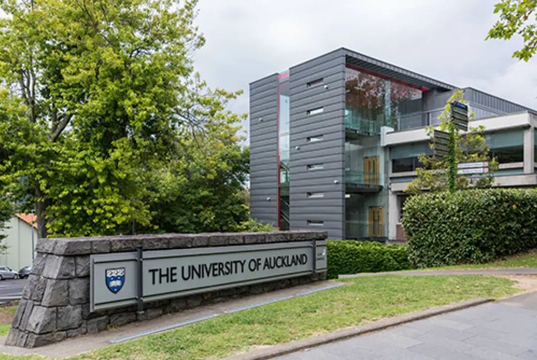University of Auckland's Faculty of Education and Social Work building - Infrastructure Pipeline