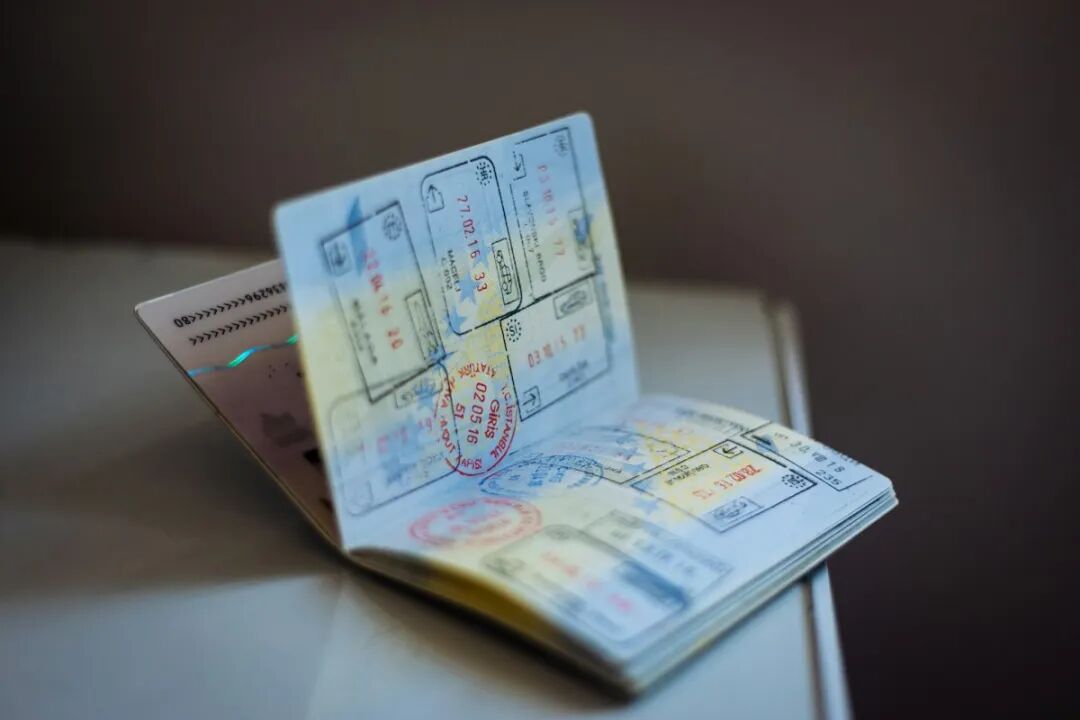 新西兰签证拒签率大增，很多中国申请者被拒，移民局官方回应